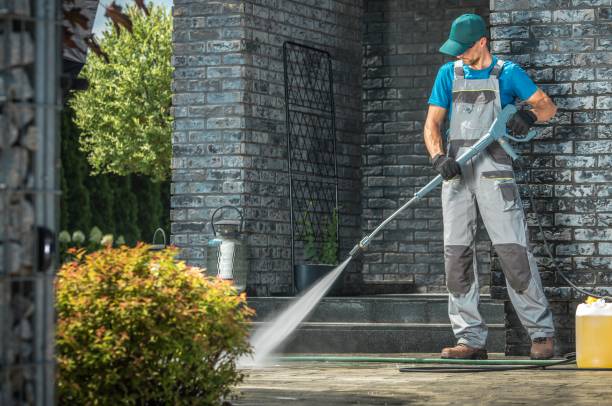 Best Soft Washing  in Fairport, NY